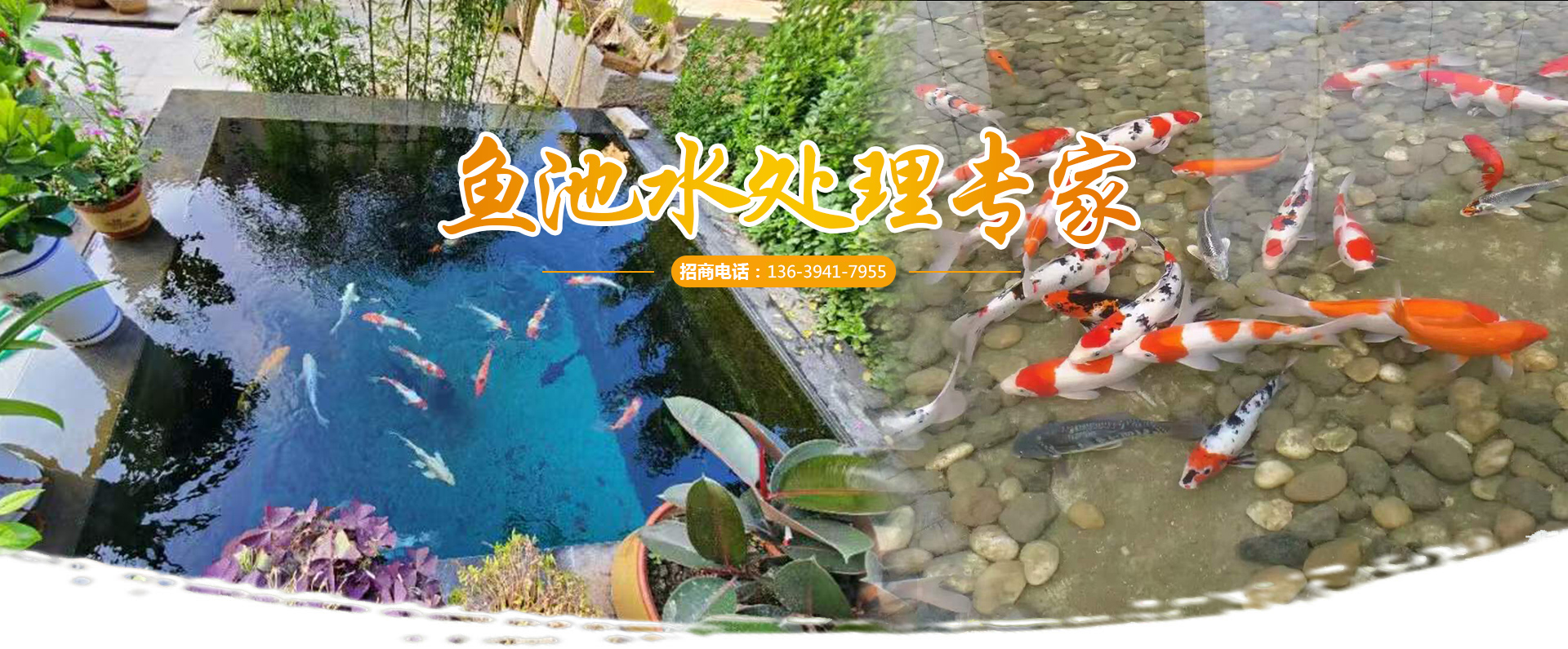 <strong>濟(jì)寧藝水芳源生態(tài)水族設(shè)備有限公司</strong>