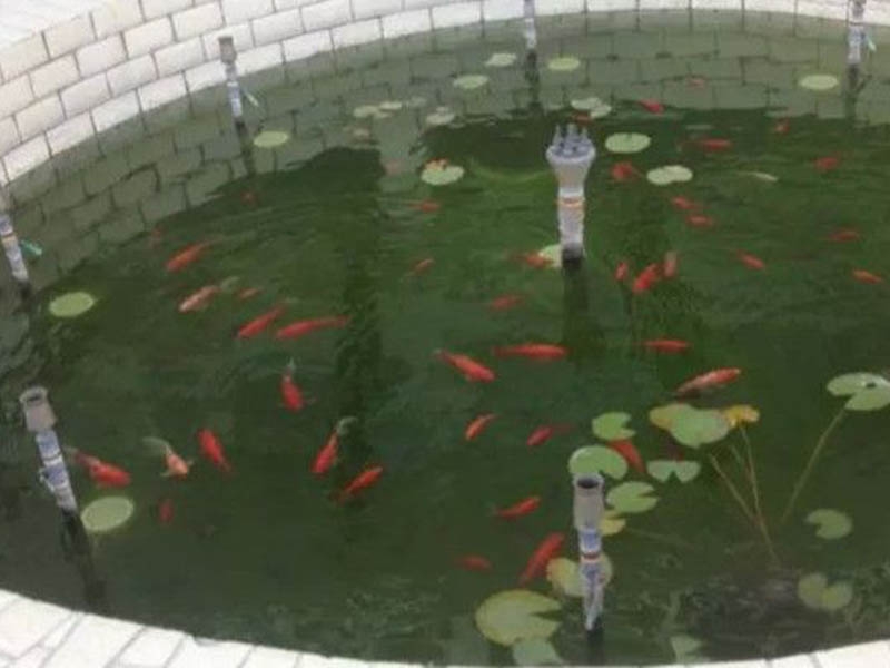 案例展示