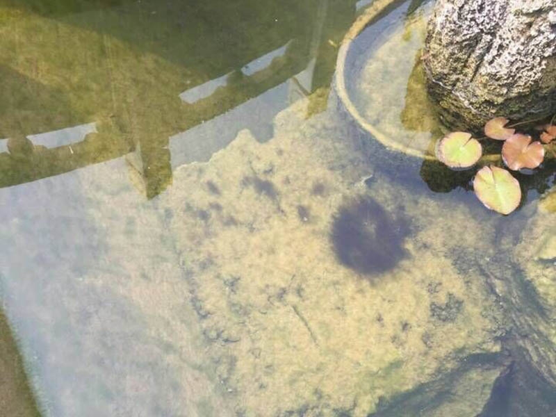 案例展示