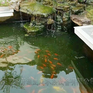 東營(yíng)景觀池刷凈安裝凈化系統(tǒng)
