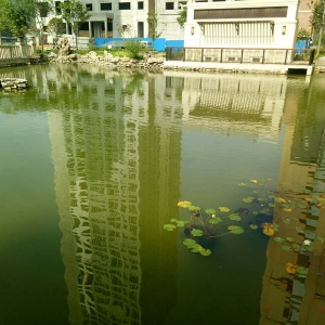 案例展示