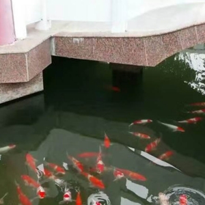 案例展示