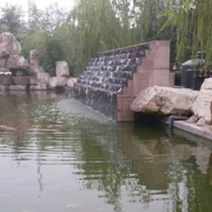 案例展示
