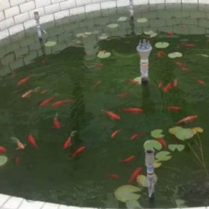 案例展示