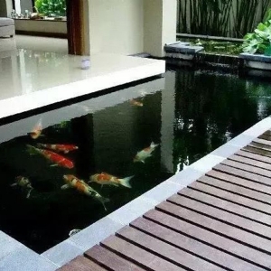 案例展示