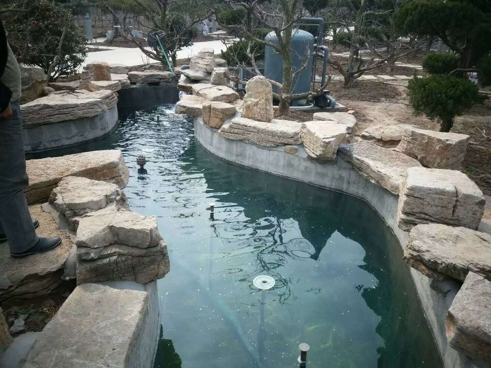 錦鯉魚池水處理系統是建造錦鯉魚池的關鍵！