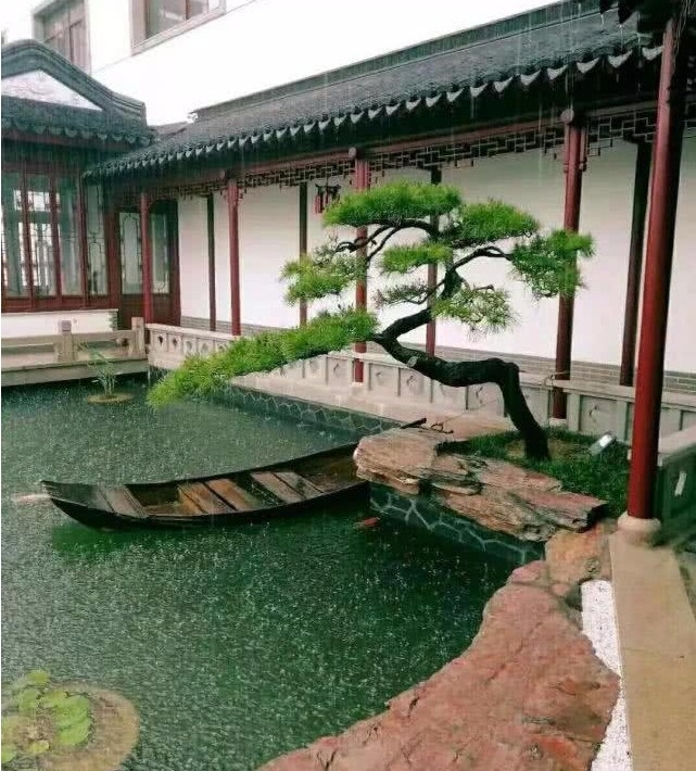 用十幾年的庭院魚池設計經驗，和你談談庭院錦鯉夢是如何實現的!