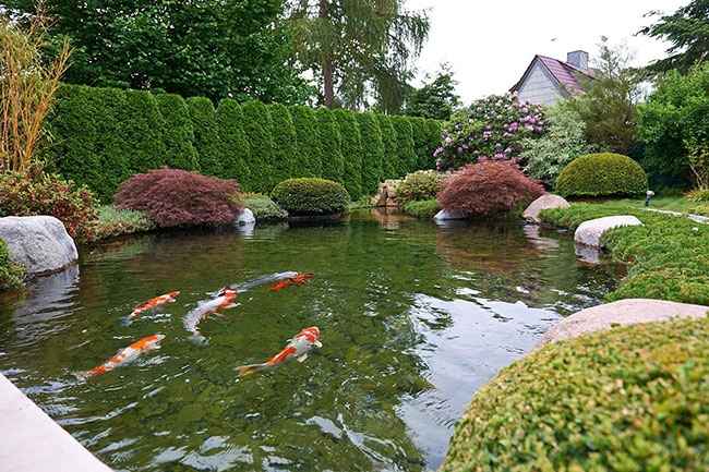 藝水芳源水處理設(shè)備，全面拯救“傷痕累累”魚池