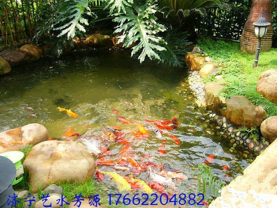 論水處理設(shè)備的重要性